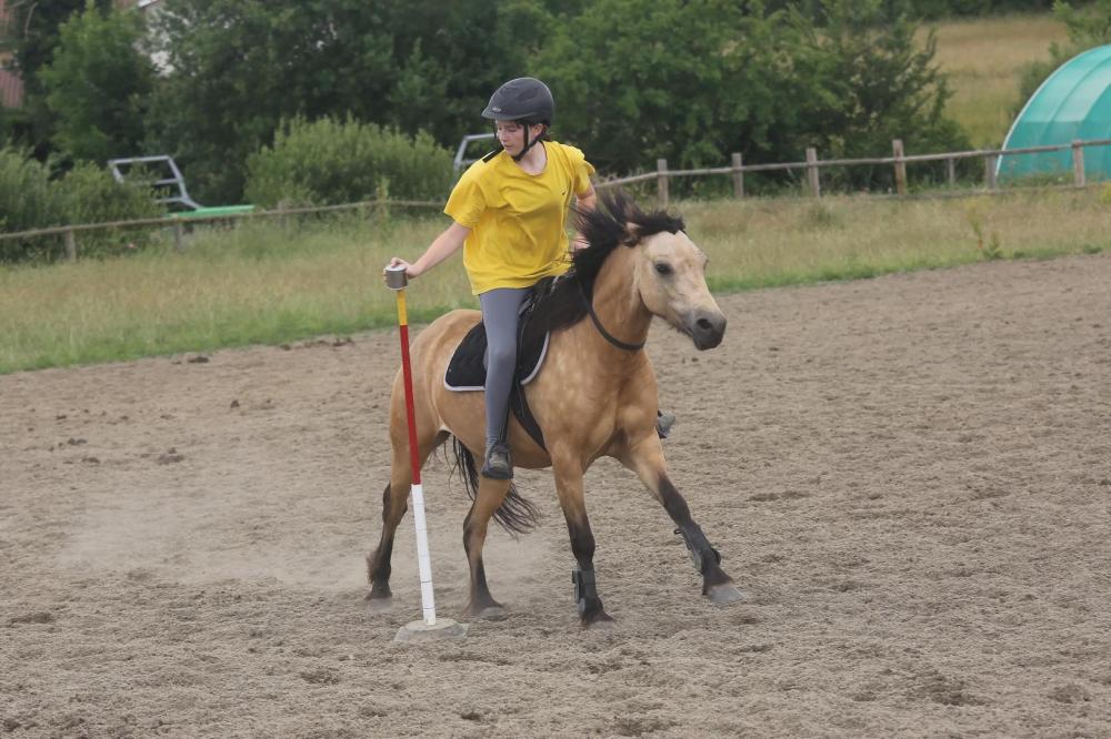 pony games