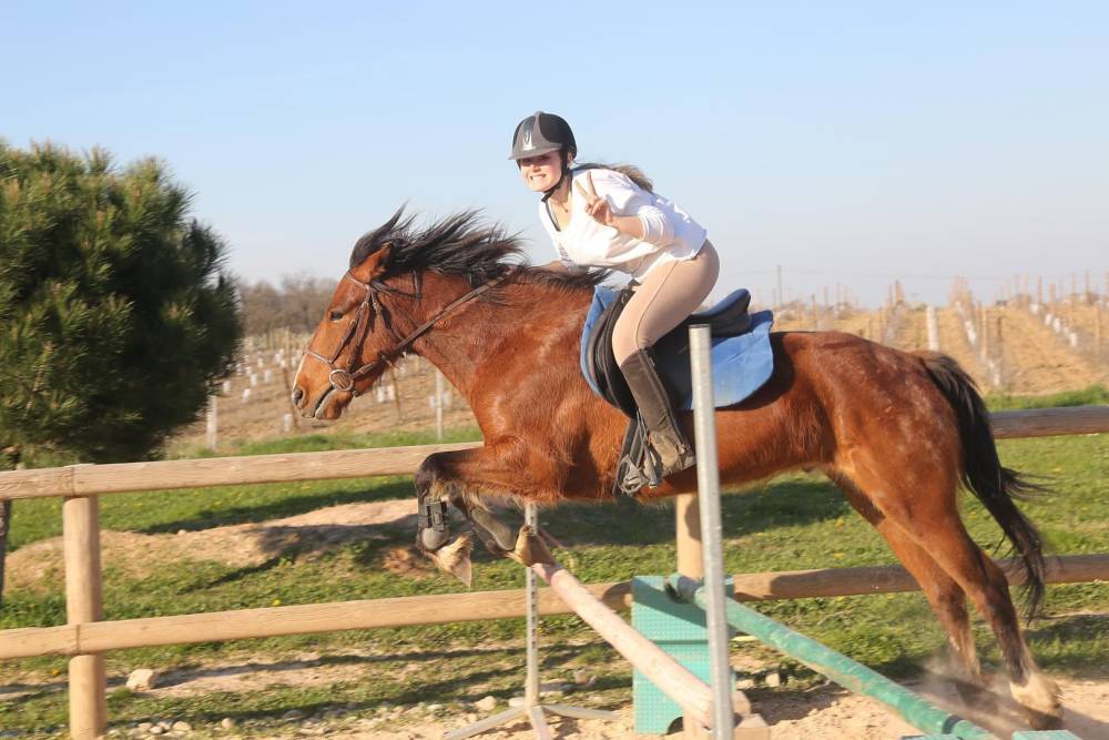 saut cheval
