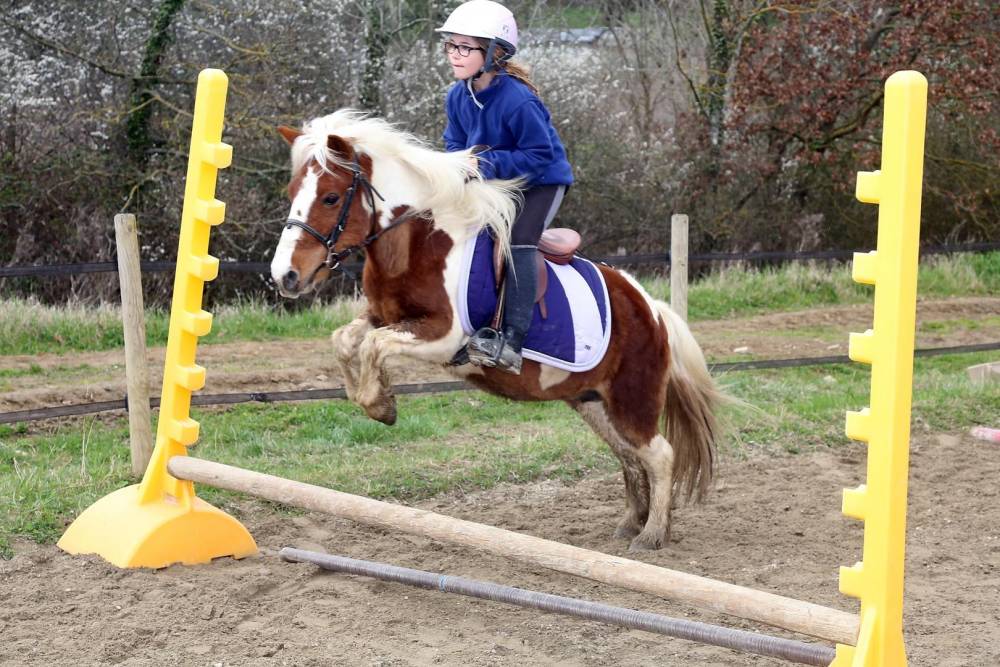 saut cheval