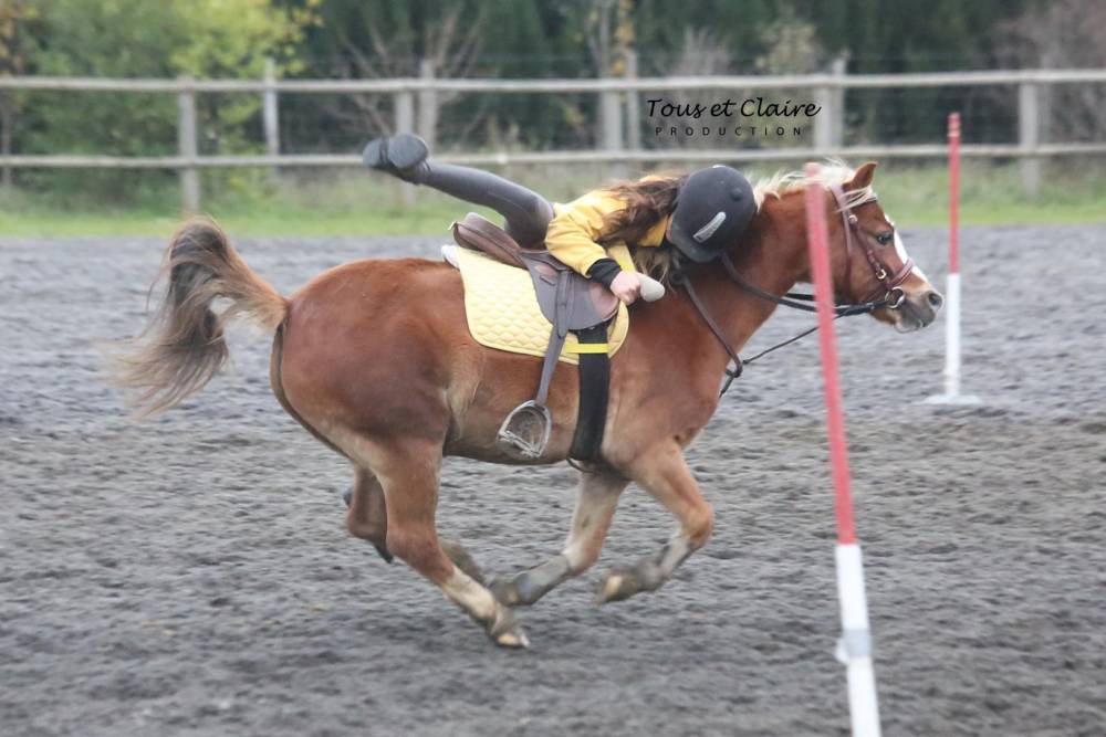 cheval au galot