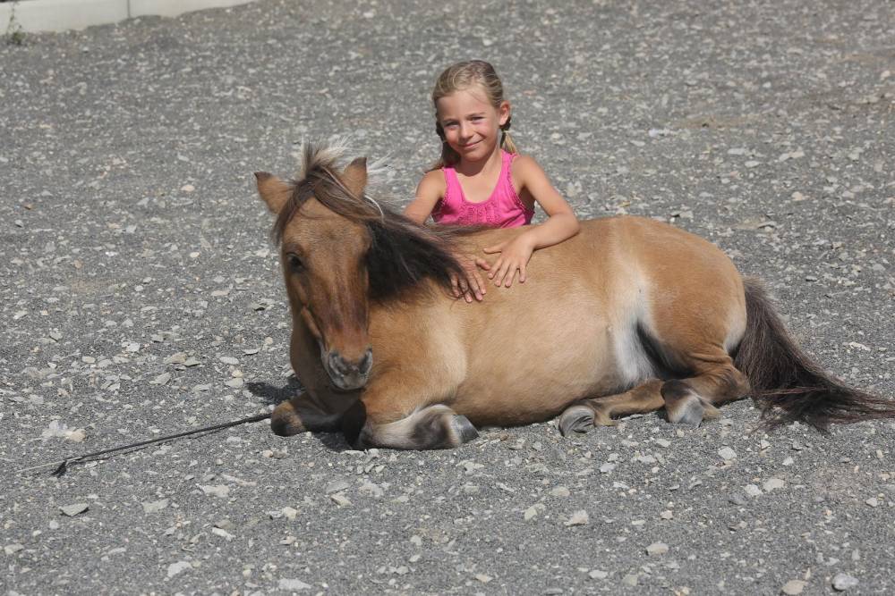 enfant et cheval
