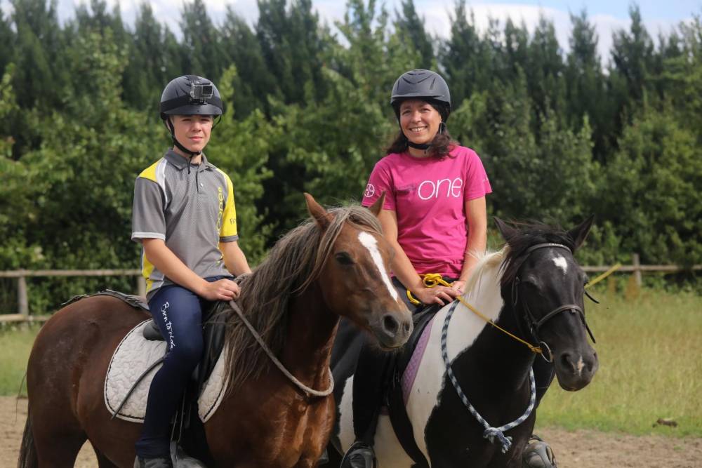 chevaux enfant adulte