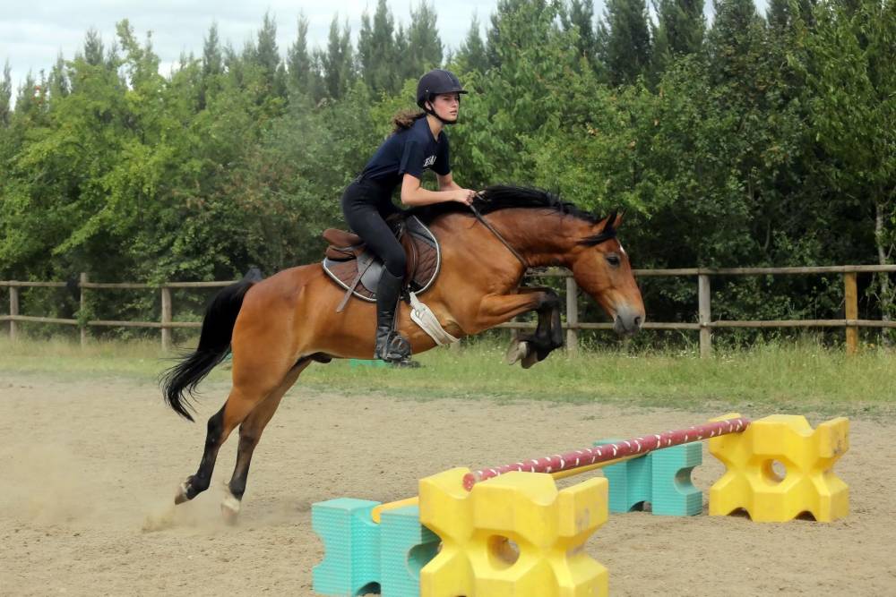 saut