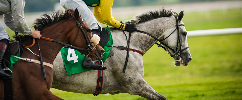 équitation Orliénas
